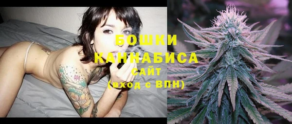 винт Гусев