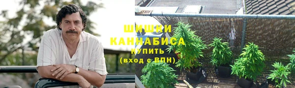 эйфоретик Гусиноозёрск