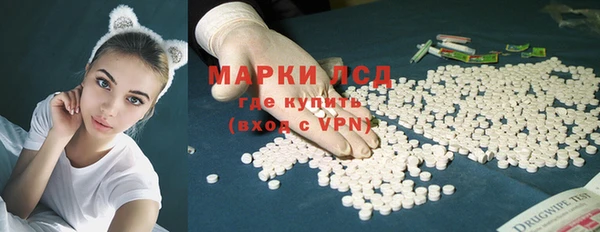 винт Гусев